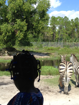Safari safari Prestige Club Goes on Safari with Childrens Harbor